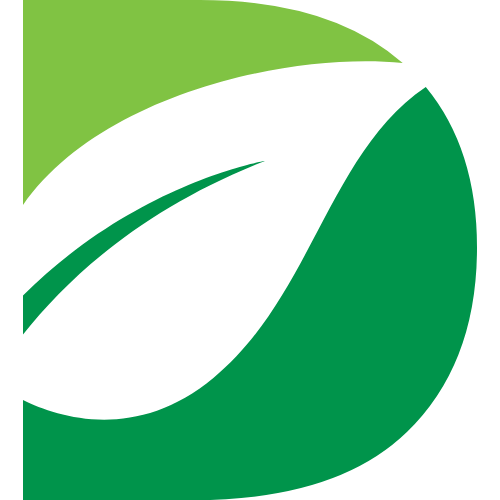 DESTINY CONSTRUCTION INC